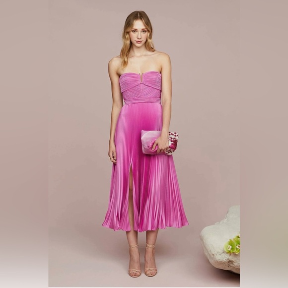 AMUR Harden Strapless Pleated Pink Midi Dress NWT - Picture 3 of 16